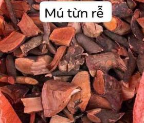 MÚ TỪN RỄ