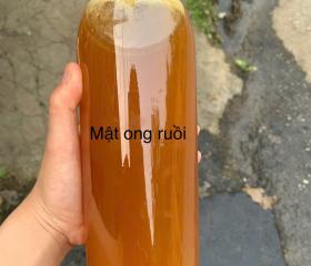 MẬT ONG RUỒI