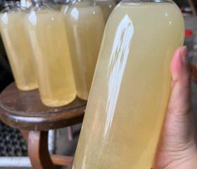 MẬT ONG HOA TRẮNG