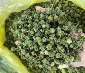 NỤ HOA TAM THẤT KHÔ