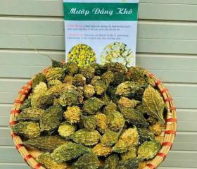 MƯỚP ĐẮNG RỪNG