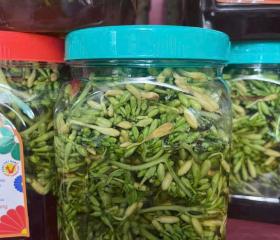 HOA ĐU ĐỦ ĐỰC NGÂM MẬT ONG