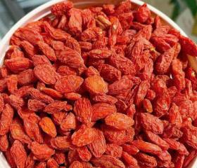 KỶ TỬ ĐỎ