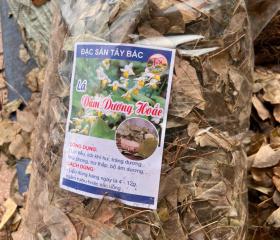 LÁ DÂM DƯƠNG HOẮC